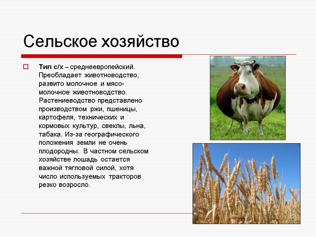 Сельское хозяйство Тип с/х – среднеевропейский. Преобладает животноводство, развито молочное и мясо-молочное животноводство. Растениеводство
